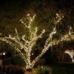 A tree twinkles with Christmas lights at night.