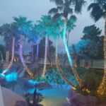 A group of palm trees twinkling with mini lights at night.