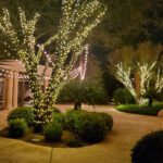 A twinkling walkway with trees illuminated by mini lights at night.