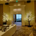 A room with tables and chairs decorated with white LED Lighted Tree Rentals.