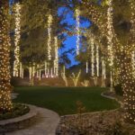 Trees wrapped with lighting effects