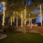         Twinkle lights dangle from a tree, creating a magical display.