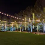 An outdoor lighting setup