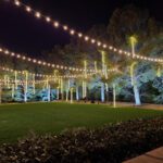 A lawn with twinkle lights in the middle of it.