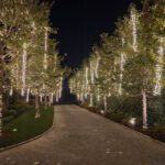 A twinkle-lit walkway adorned with mini lights for trees, creating a magical ambiance at night.