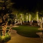 A backyard twinkling with Christmas lights and palm trees.