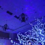 A SPECIALTY ballroom adorned with blue lights and trees.