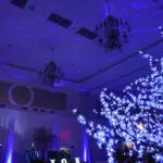 A specialty ballroom adorned with blue lights and trees, creating a mesmerizing ambiance for your event.