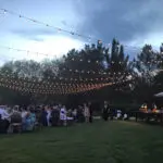 A wedding reception with bistro lighting and palm trees.