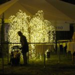 A tree covered with lights