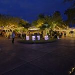 A place covered with lights and trees