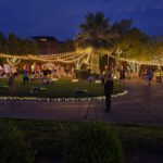 A place covered with lights and trees