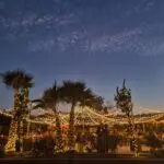 An exquisite event lighting at Lotus House in Las Vegas, showcasing a magical wedding reception with beautifully illuminated palm trees under the enchanting night sky.