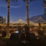 Event Lighting at Lotus House Las Vegas with a wedding reception under a string of lights and palm trees in the background.