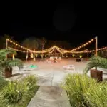 An outdoor wedding at Lotus House Las Vegas with palm trees and string lights, enhanced by beautiful event lighting.