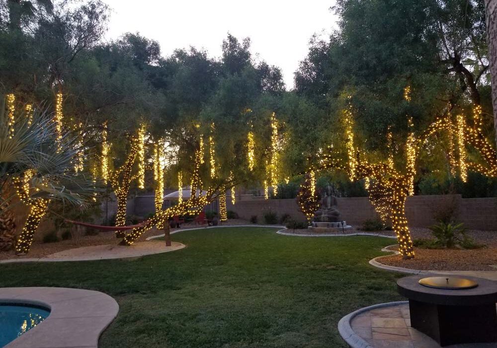 Trees wrapped with lights near the pool